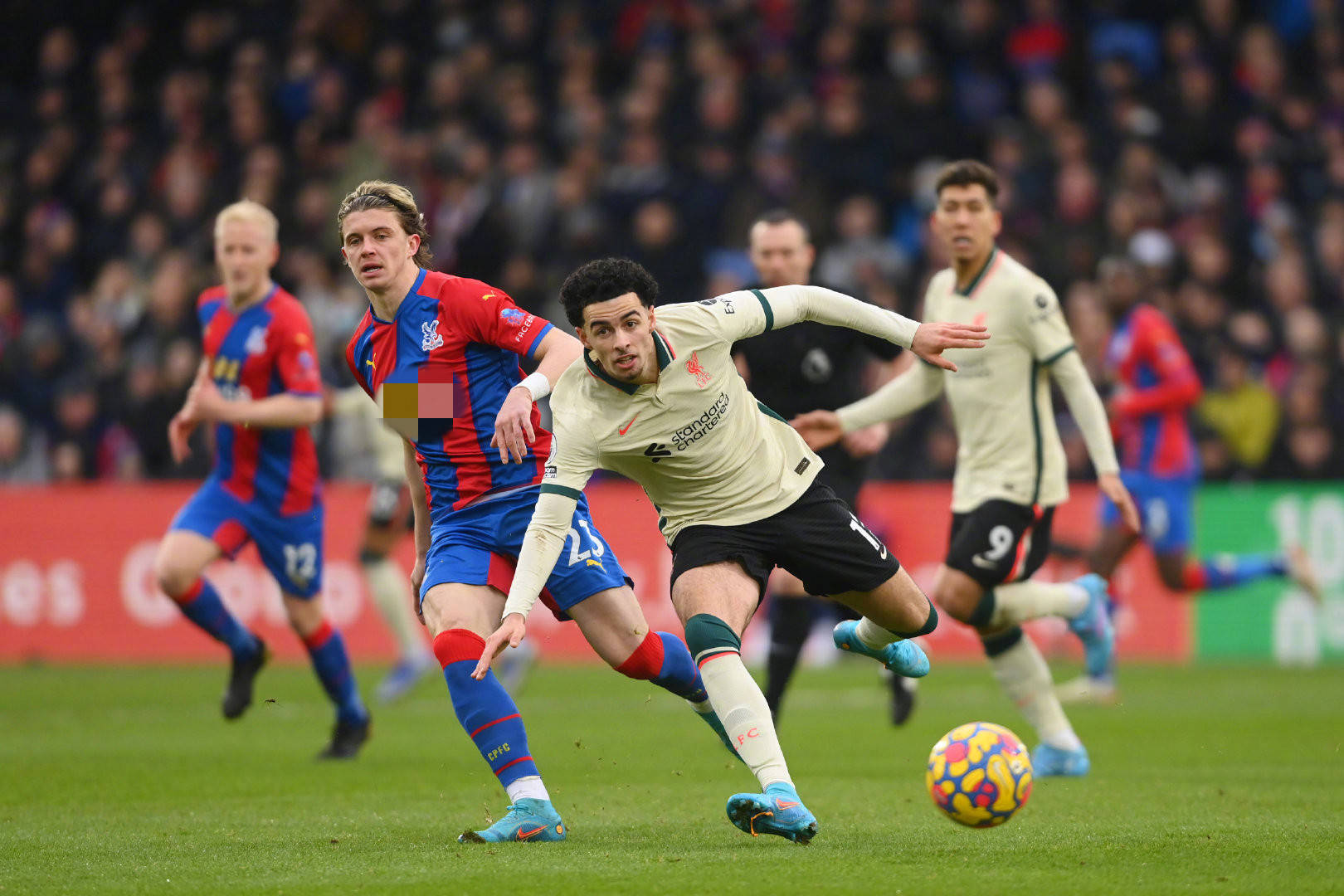 这或许是调 这或许是调