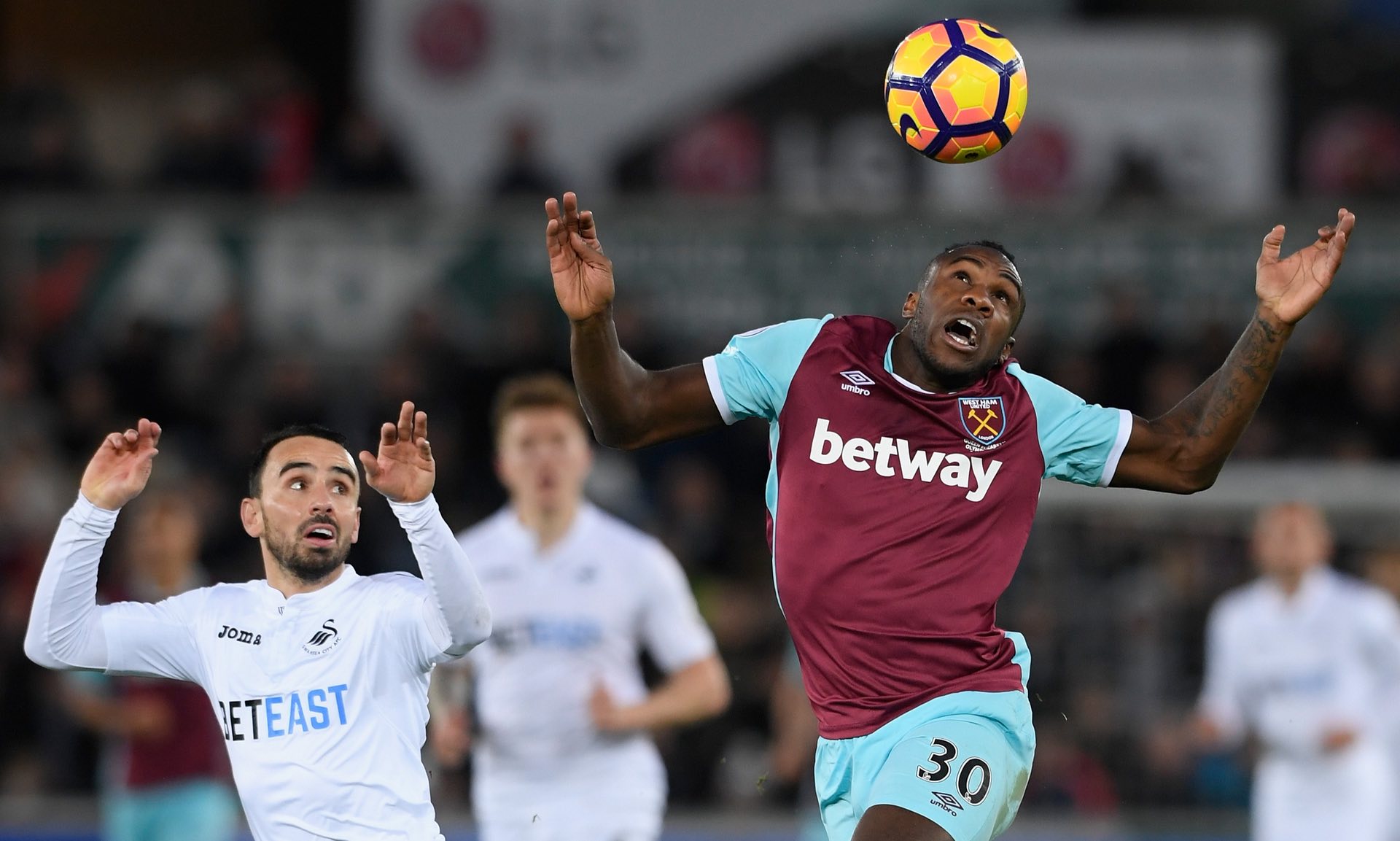 赵芸蕾则用 赵芸蕾则用